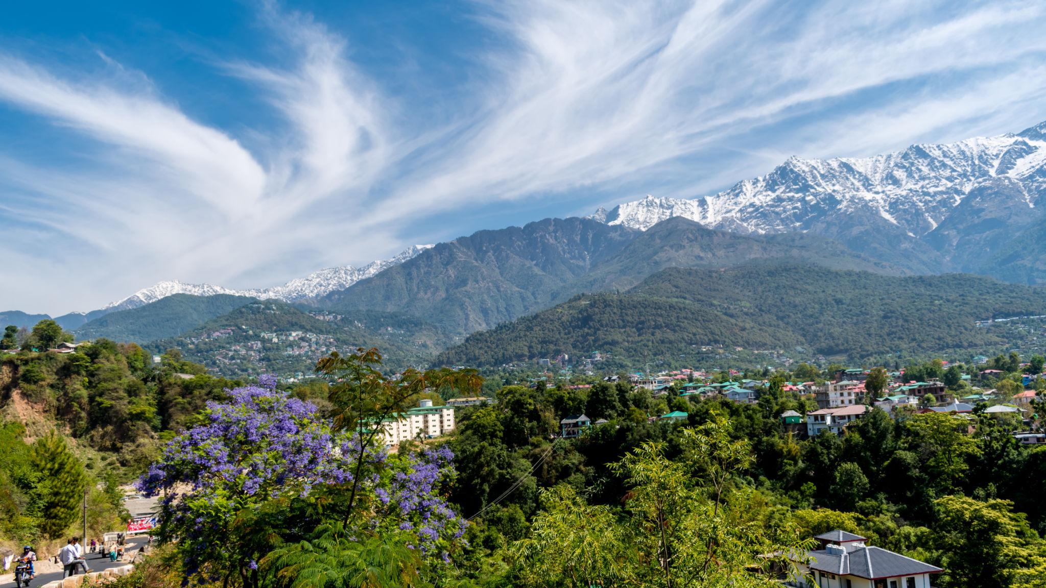 Software company in Kangra providing billing software and IT services